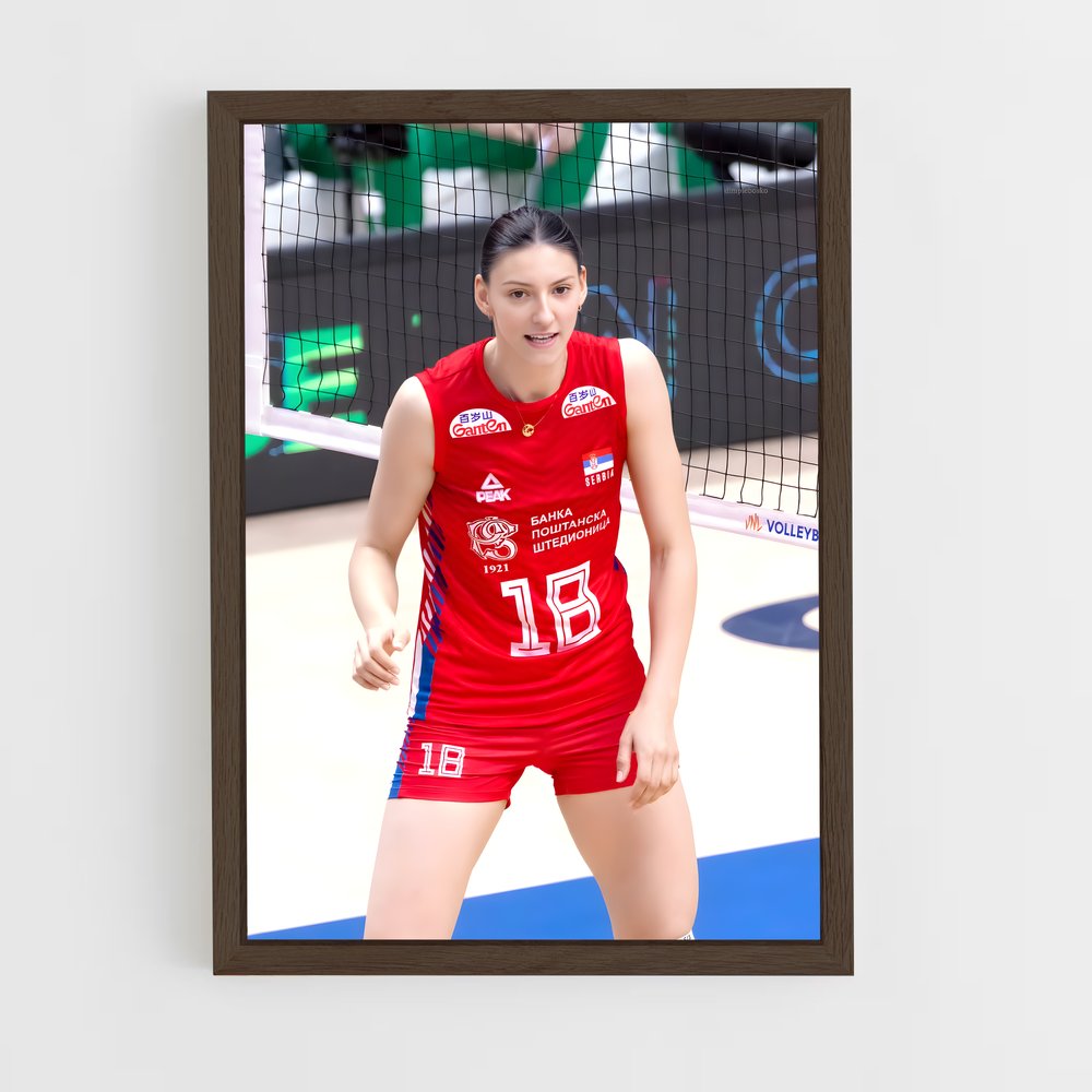 Poster Ace de Volleyball (vue 5)